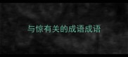与惊有关的成语成语