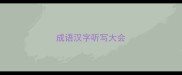 成语汉字听写大会