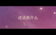 成语瓶什么
