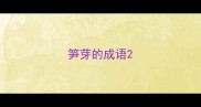 笋芽的成语
