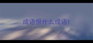 成语恨什么成语
