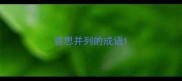 意思并列的成语