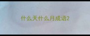 什么天什么月成语