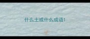 什么土成什么成语