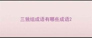 三独组成语有哪些成语