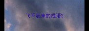 飞不起来的成语