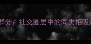 类聚群分社交圈层中的同类相吸法则