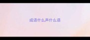 成语什么声什么语