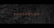 字金成语有哪些成语