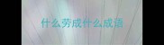 什么劳成什么成语