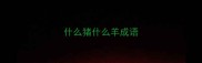 什么猪什么羊成语