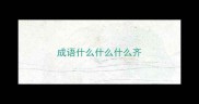 成语什么什么什么齐