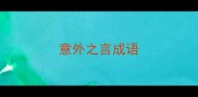 意外之言成语