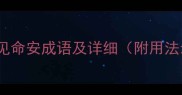 20个常见命安成语及详细附用法示例