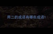 用二的成语有哪些成语