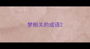 梦相关的成语
