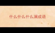 什么什么什么澜成语
