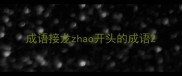 成语接龙zhao开头的成语