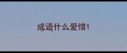 成语什么爱惜