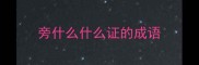 旁什么什么证的成语