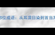 50个常见人体部位成语从耳濡目染到首当其冲的智慧密码