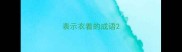 表示衣着的成语