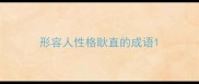 形容人性格耿直的成语