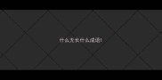 什么无长什么成语