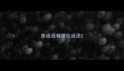 泰成语有哪些成语