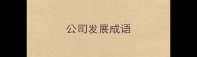 公司发展成语