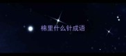 棉里什么针成语