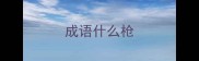 成语什么枪