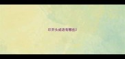 印开头成语有哪些