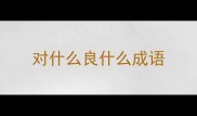 对什么良什么成语