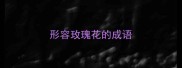 形容玫瑰花的成语