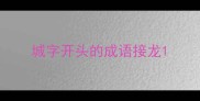 城字开头的成语接龙