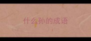 什么孙的成语