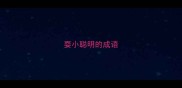 耍小聪明的成语