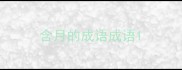 含月的成语成语