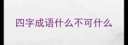 四字成语什么不可什么