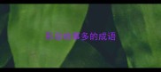 形容故事多的成语