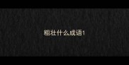 粗壮什么成语