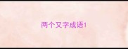 两个又字成语