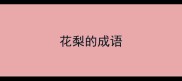 花梨的成语