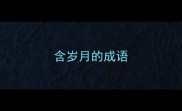 含岁月的成语