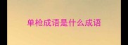 单枪成语是什么成语