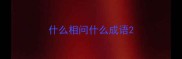 什么相问什么成语