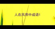 人在风雨中成语