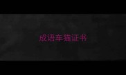 成语车猫证书