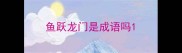 鱼跃龙门是成语吗